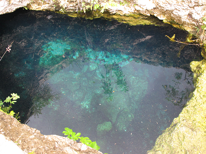 Cenote de San Pedro Cholul